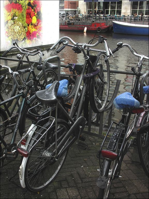 amsterdam street scene